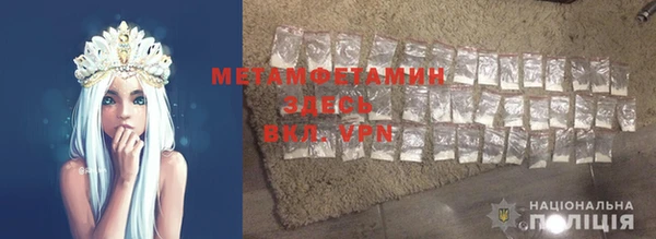 ПСИЛОЦИБИНОВЫЕ ГРИБЫ Осинники