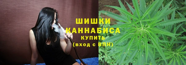 молекула духа Пересвет