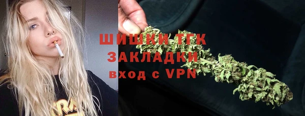 молекула духа Пересвет