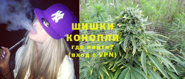 дживик Осташков