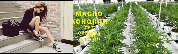 молекула духа Пересвет