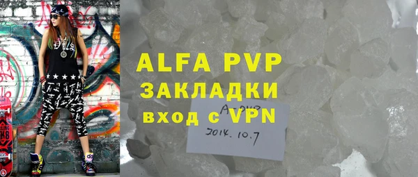 ПСИЛОЦИБИНОВЫЕ ГРИБЫ Осинники