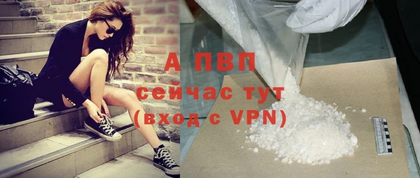 молекула духа Пересвет