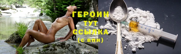 молекула духа Пересвет