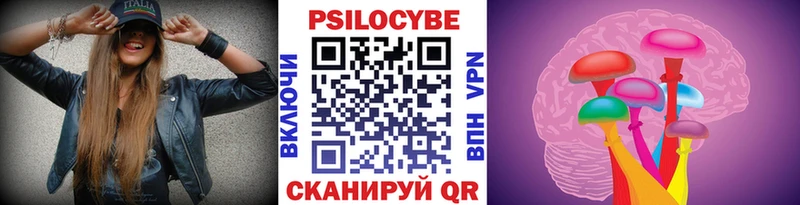 Купить где Десногорск Псилоцибиновые грибы GOLDEN TEACHER