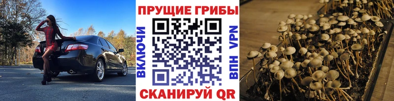 Псилоцибиновые грибы прущие грибы Десногорск